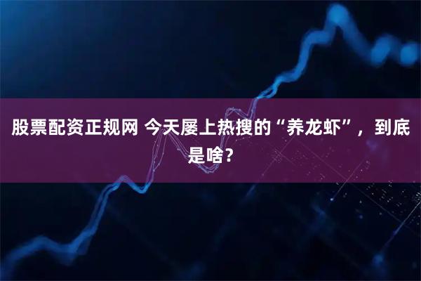 股票配资正规网 今天屡上热搜的“养龙虾”，到底是啥？