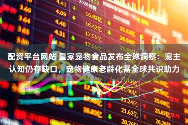 配资平台网站 皇家宠物食品发布全球洞察：宠主认知仍存缺口，宠物健康老龄化需全球共识助力